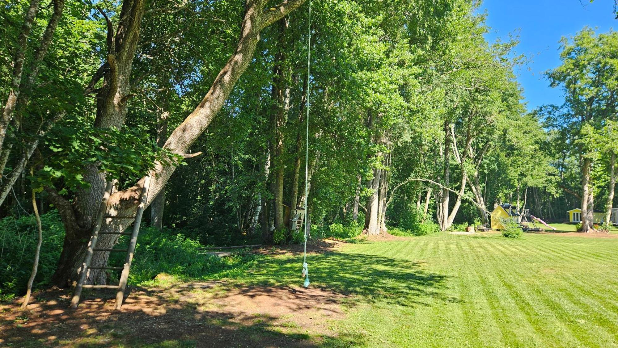 Laagriplats Rannametsa Puhkekeskus Paope